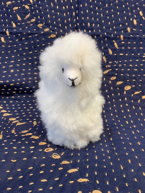 fluffy baby alpaca