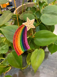 Ornament, Quilled Rainbow Star