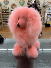 Pink Poodle