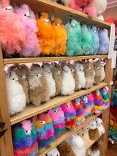 Pastel Alpaca